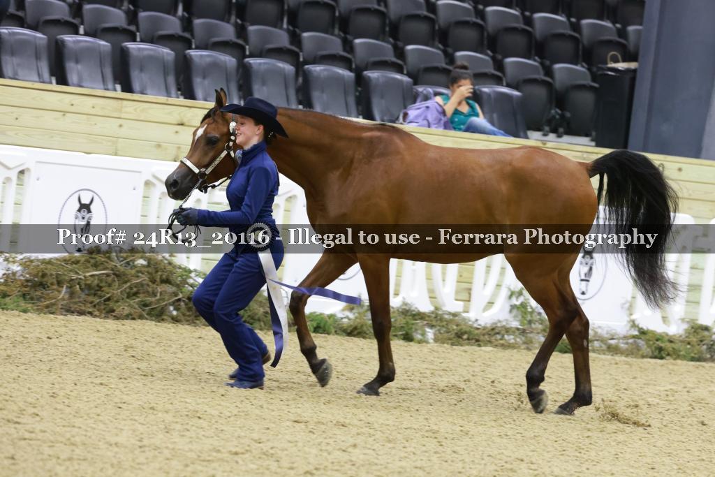Proof Number 24R13_20116