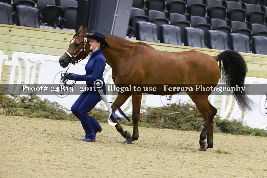 Proof Number 24R13_20117