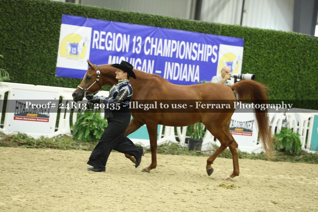 Proof Number 24R13_20135