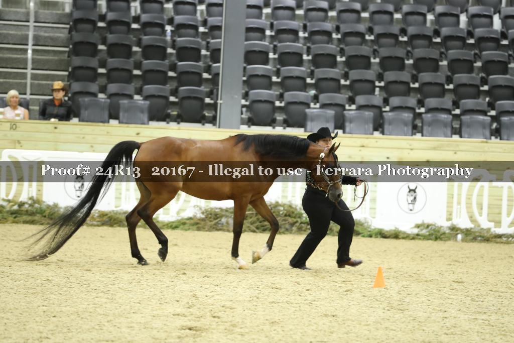 Proof Number 24R13_20167
