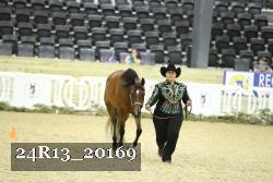 24R13_20169 thumbnail