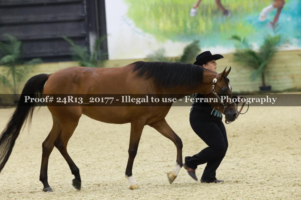 Proof Number 24R13_20177