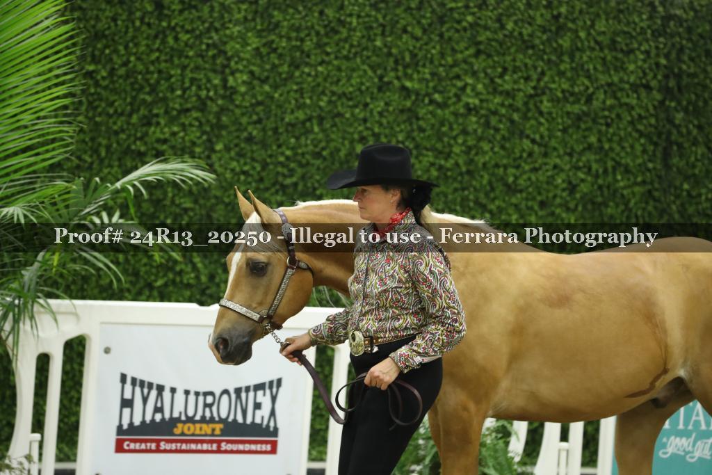 Proof Number 24R13_20250