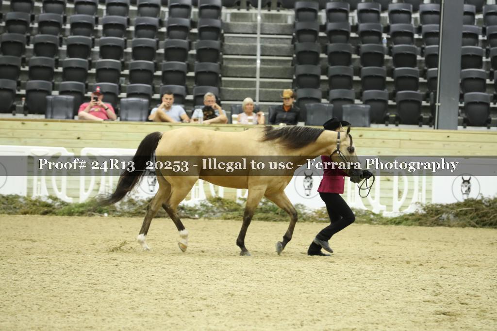 Proof Number 24R13_20253