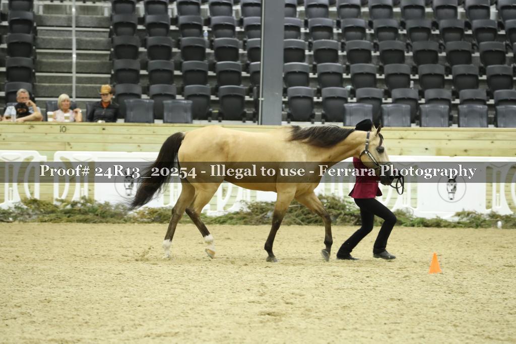 Proof Number 24R13_20254