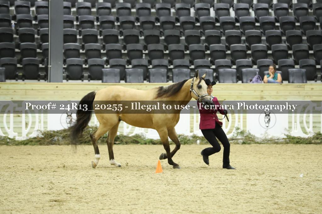 Proof Number 24R13_20255