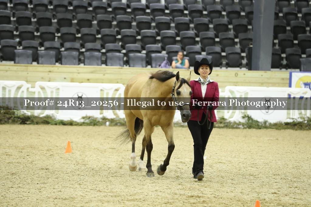 Proof Number 24R13_20256