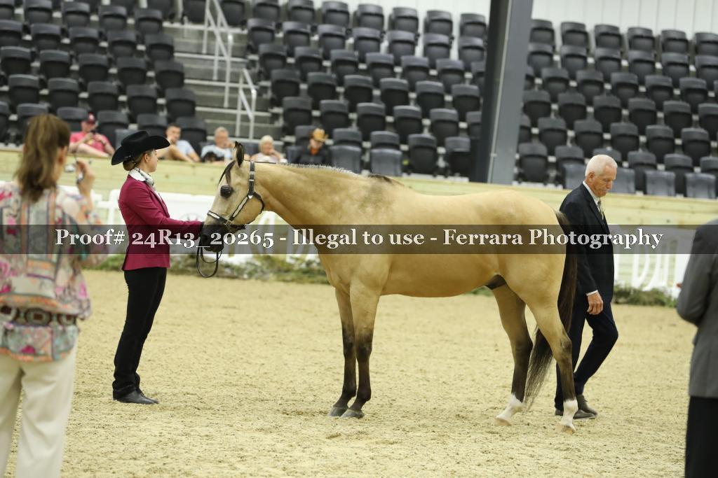 Proof Number 24R13_20265