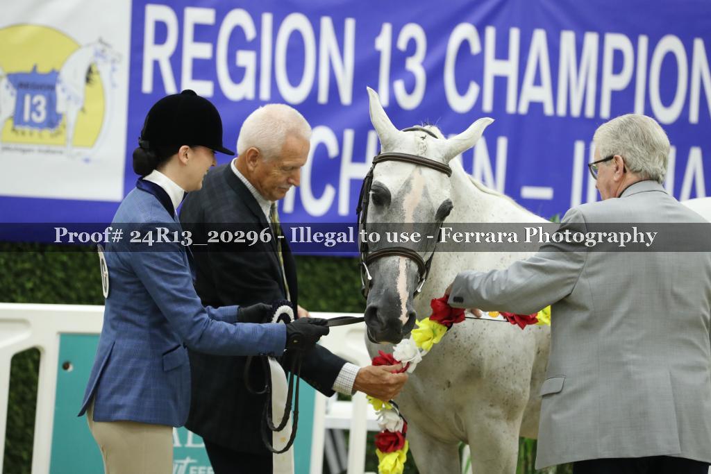 Proof Number 24R13_20296