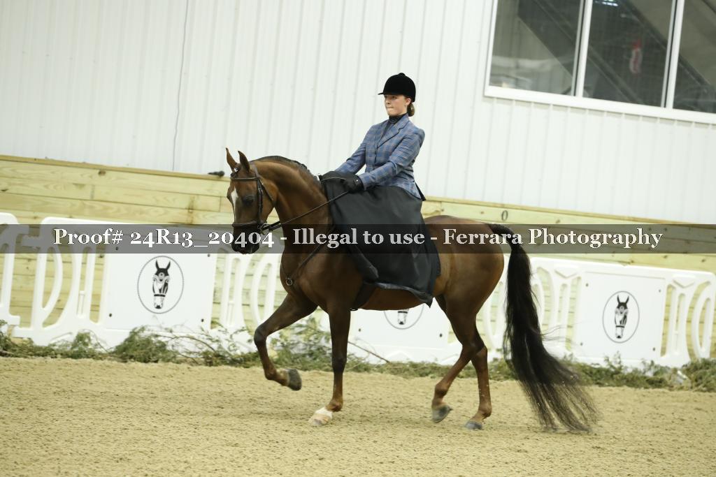 Proof Number 24R13_20404