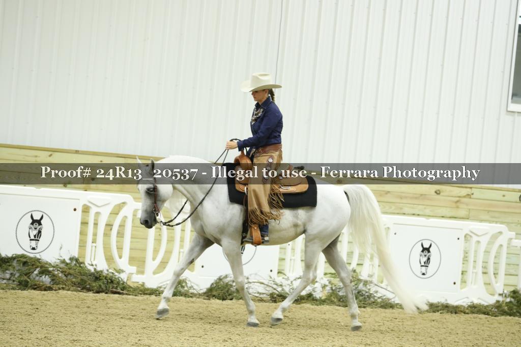 Proof Number 24R13_20537