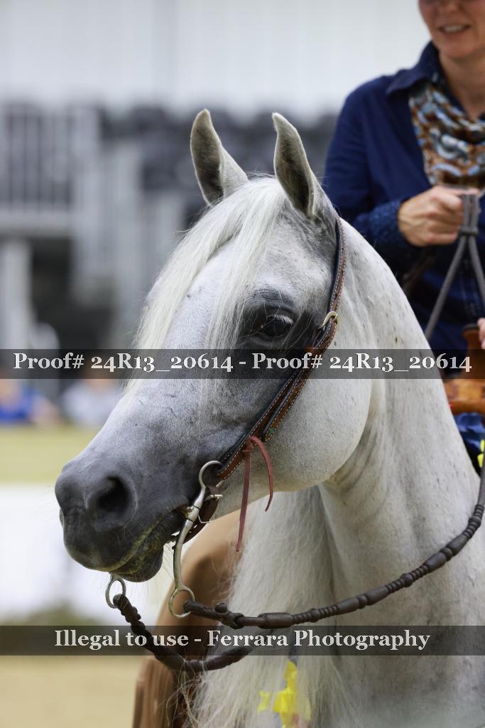 Proof Number 24R13_20614