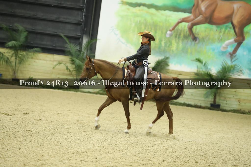 Proof Number 24R13_20616