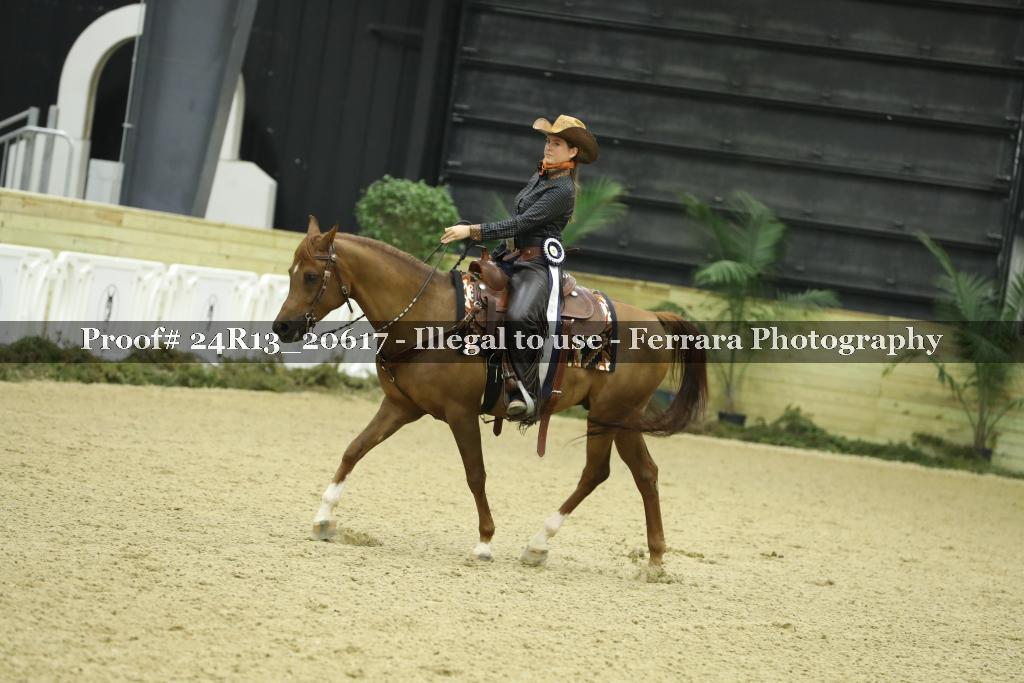 Proof Number 24R13_20617