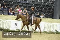 24R13_20623 thumbnail