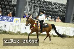 24R13_20632 thumbnail