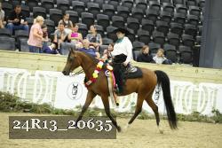 24R13_20635 thumbnail