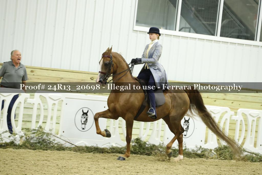 Proof Number 24R13_20698