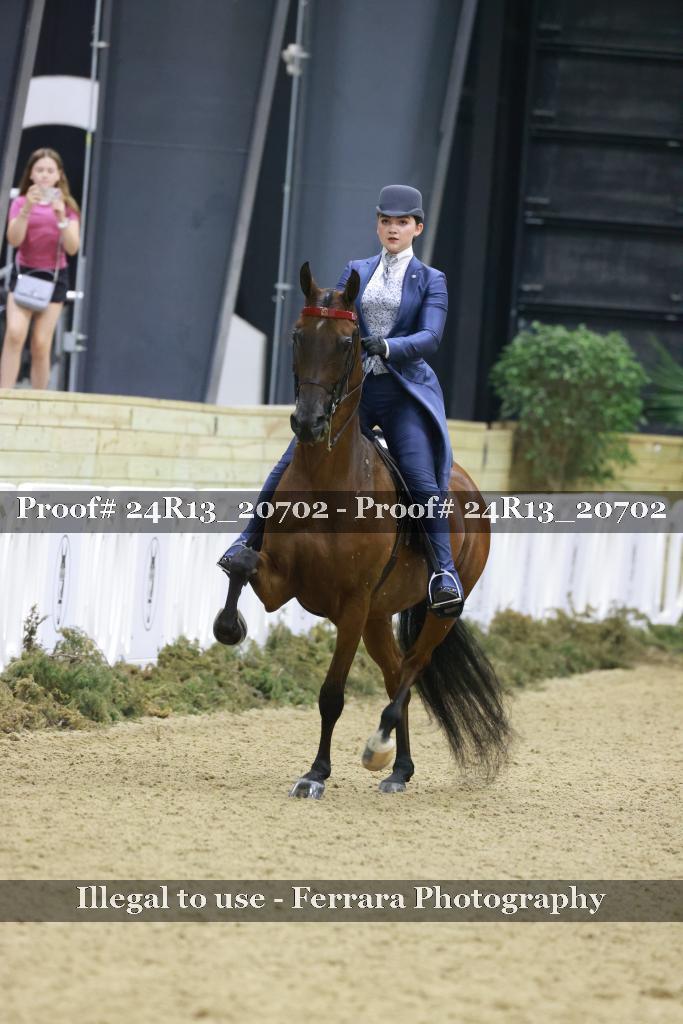 Proof Number 24R13_20702