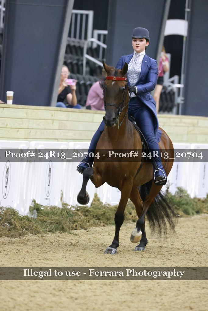 Proof Number 24R13_20704