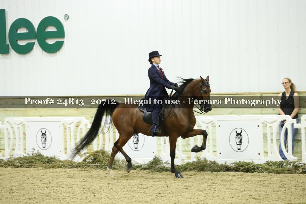 Proof Number 24R13_20712