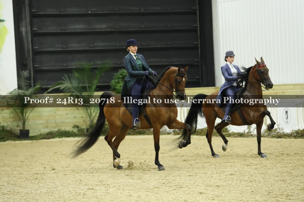 Proof Number 24R13_20718