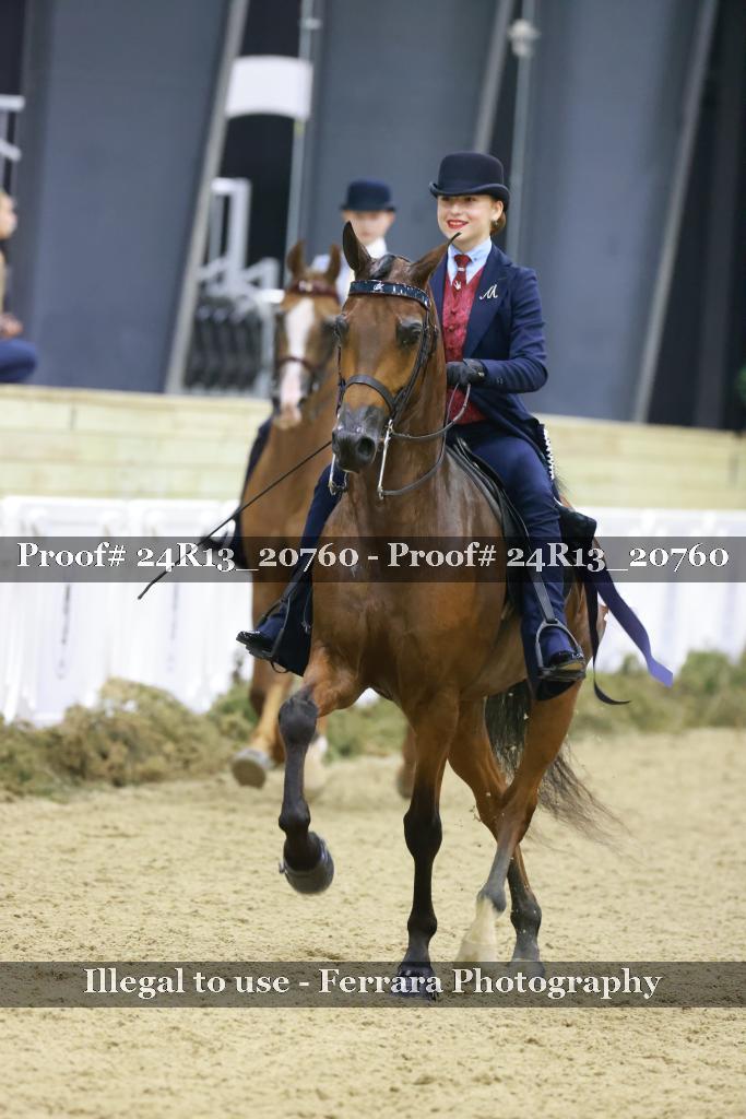 Proof Number 24R13_20760