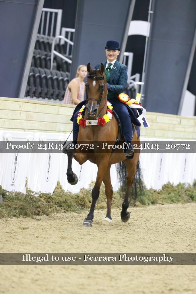 Proof Number 24R13_20772
