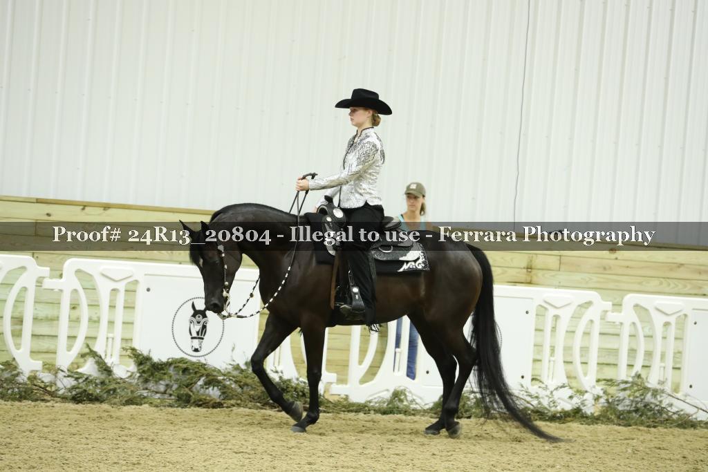 Proof Number 24R13_20804
