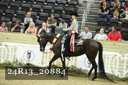 24R13_20884 thumbnail