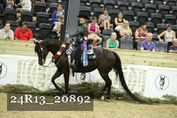 24R13_20892 thumbnail