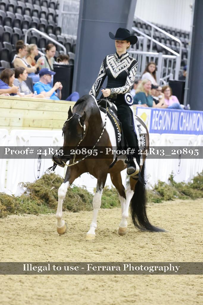 Proof Number 24R13_20895