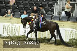 24R13_20897 thumbnail