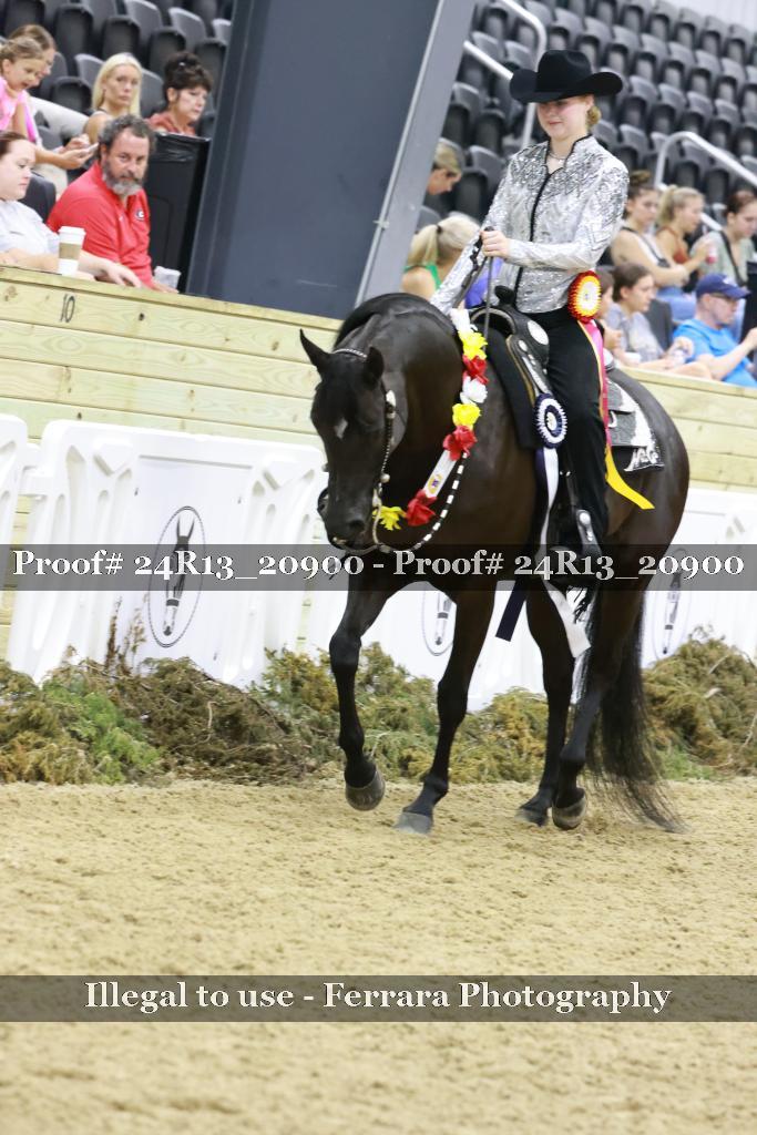 Proof Number 24R13_20900