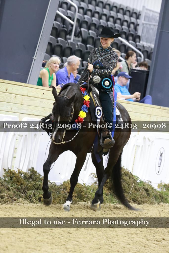 Proof Number 24R13_20908