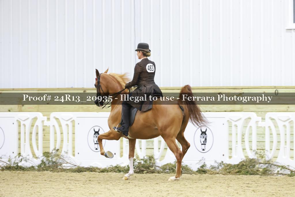 Proof Number 24R13_20935