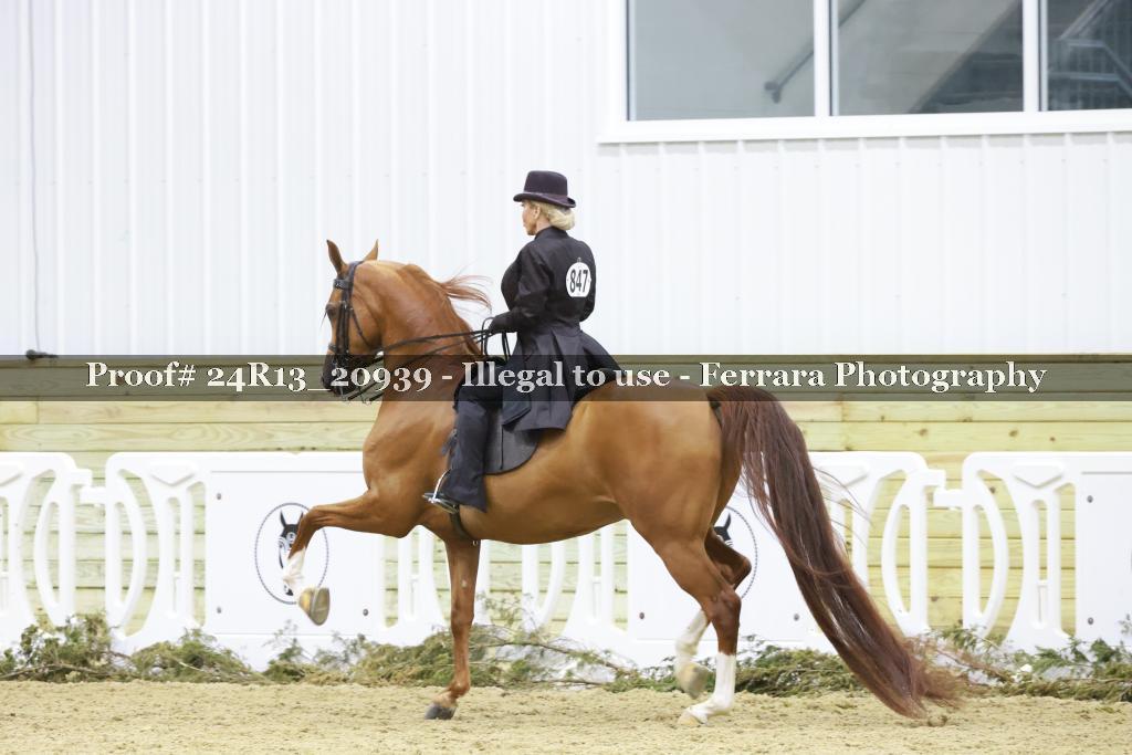 Proof Number 24R13_20939