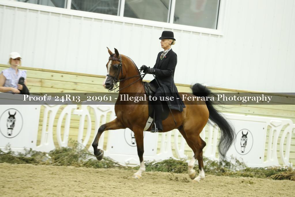 Proof Number 24R13_20961