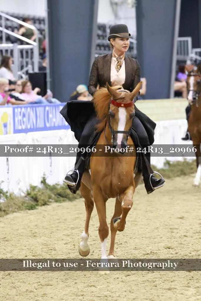 Proof Number 24R13_20966