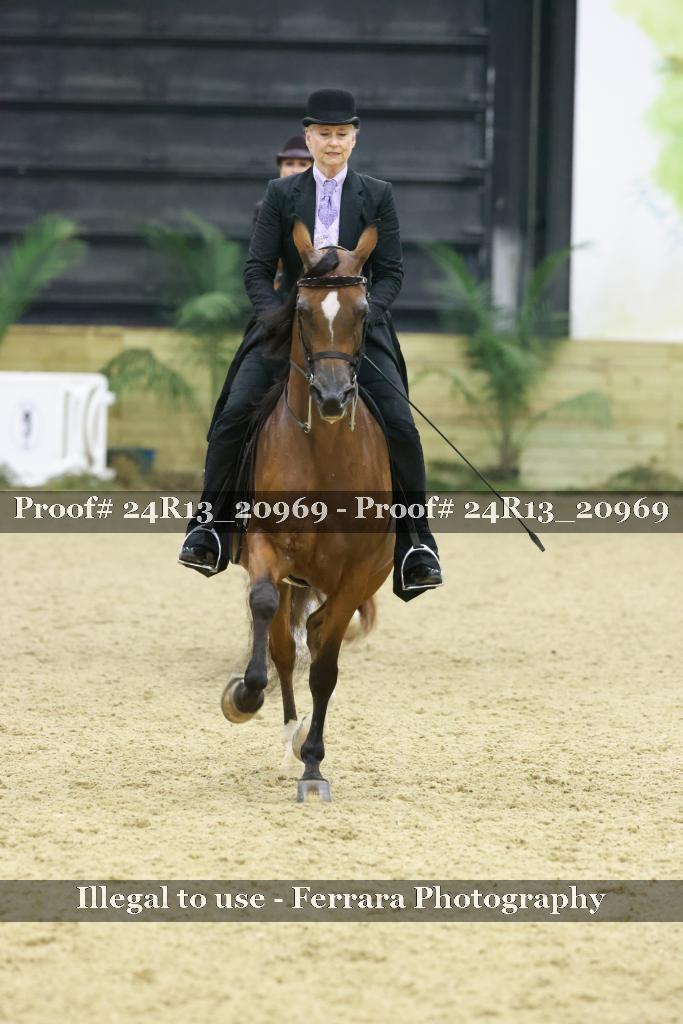 Proof Number 24R13_20969
