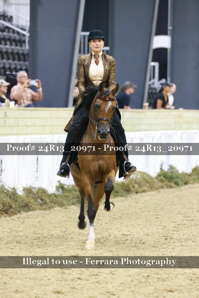 Proof Number 24R13_20971