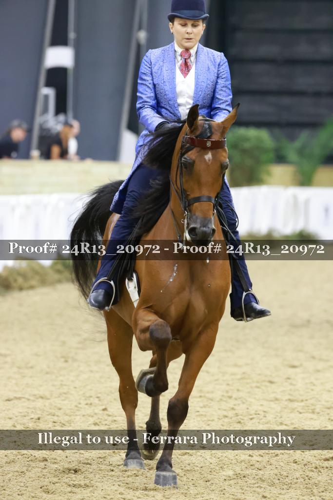 Proof Number 24R13_20972