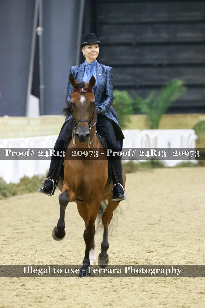 Proof Number 24R13_20973
