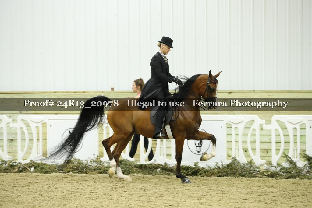 Proof Number 24R13_20978