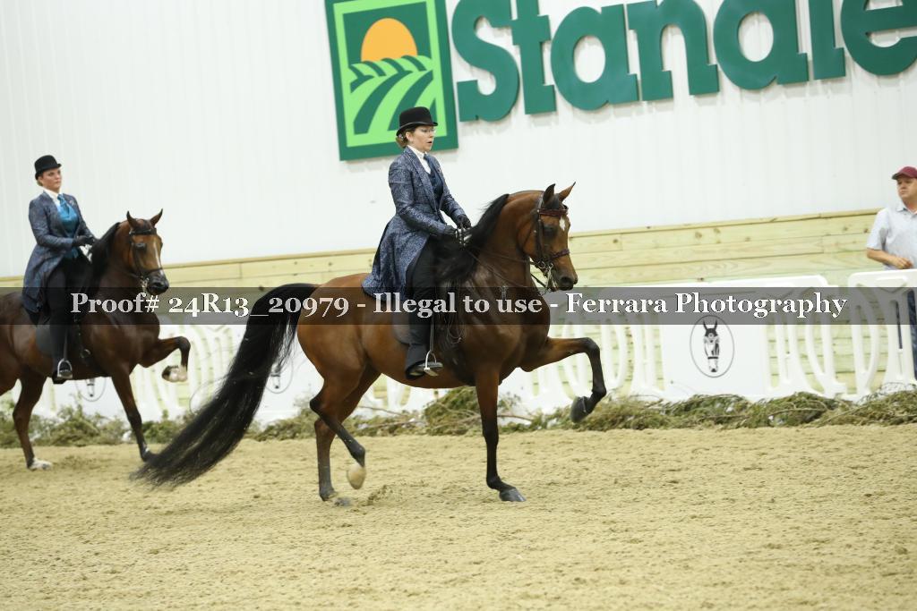Proof Number 24R13_20979