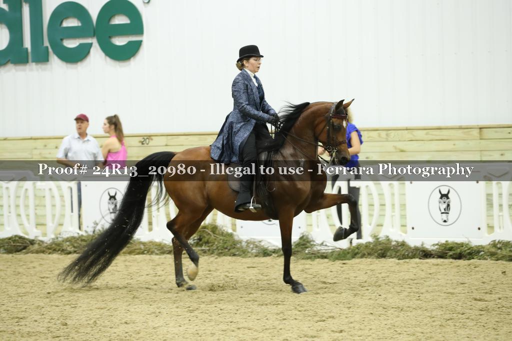 Proof Number 24R13_20980