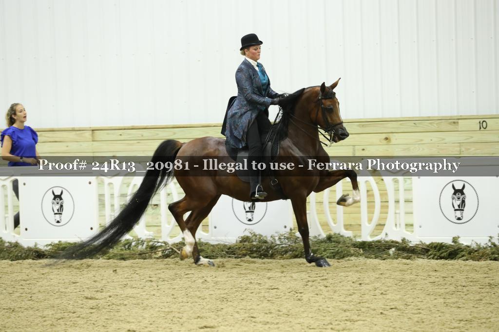 Proof Number 24R13_20981