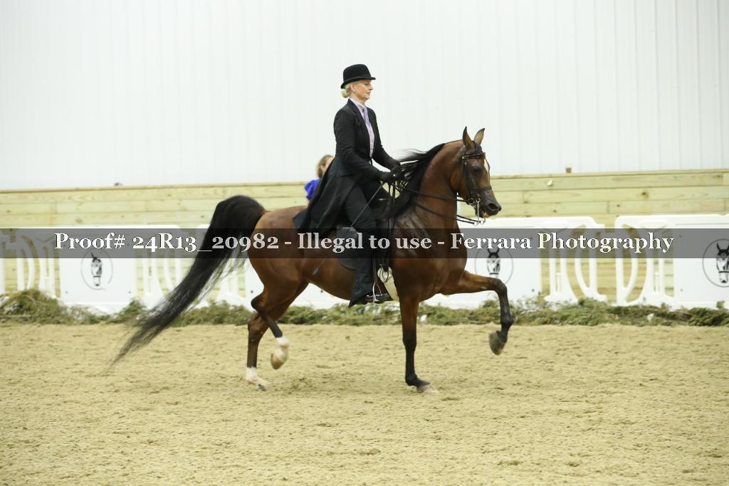 Proof Number 24R13_20982
