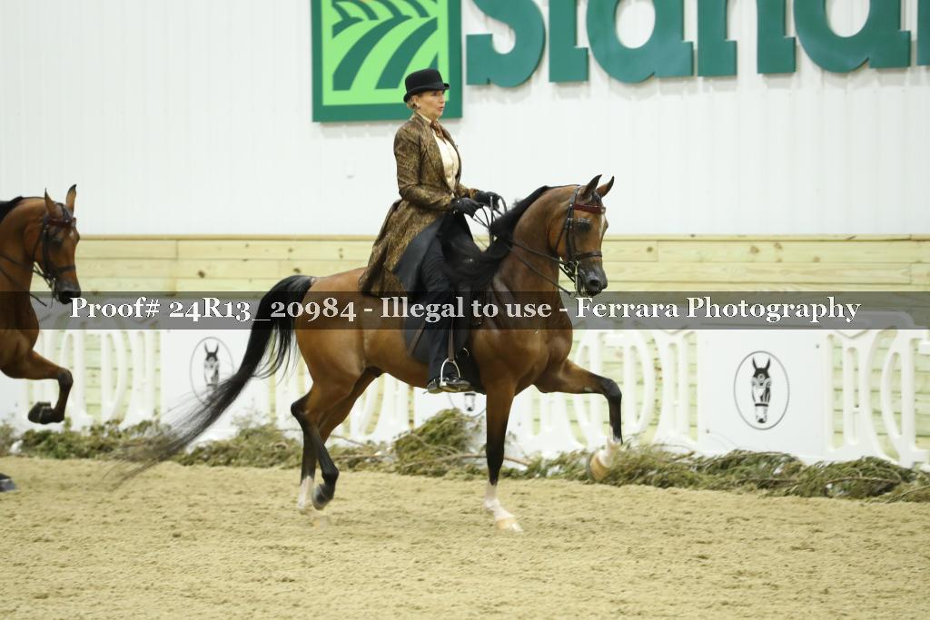 Proof Number 24R13_20984