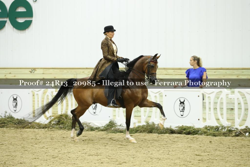 Proof Number 24R13_20985